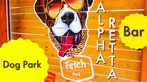 fetch dog park alpharetta